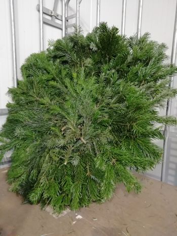 ZZ HU KOSZORU LAP 100CM