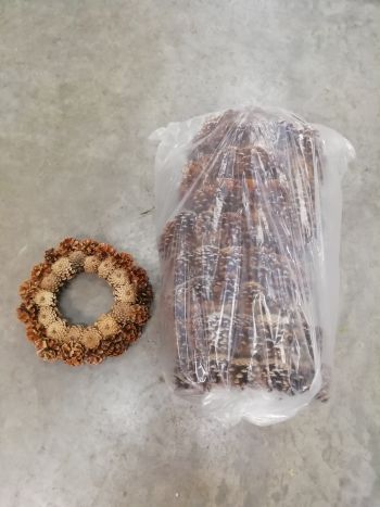 ZZ HU TOBOZKOSZORÚ 30CM