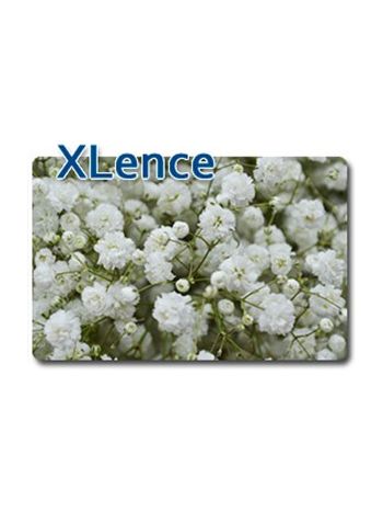 GYPS EC XLENCE 40GR