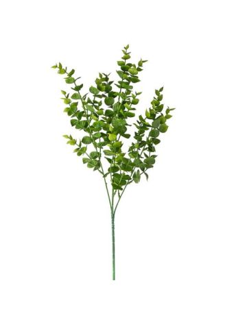 Eukaliptusz csokor- 3 ágú- 70cm magas - Világoszöld