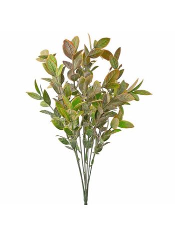 Eukaliptusz csokor- 7 ágú- 34cm magas - Zöld / Barna