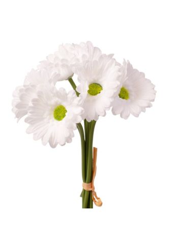 Real touch gerbera köteg- 6 szál- 27 cm magas - Fehér