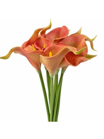 Real touch kála köteg- 10 szálas- 36cm magas - Barna