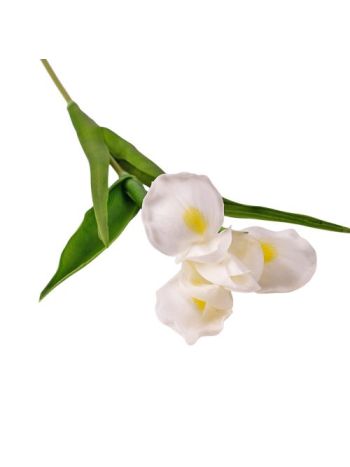 Real touch írisz szál- 58cm magas - Fehér