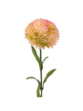 Dália szál- 50cm magas - Krém / Rózsaszín