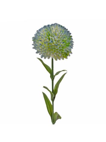 Dália szál- 50cm magas - Kék