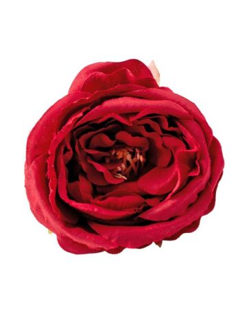 Peónia selyemvirág fej- 7cm - Bordó