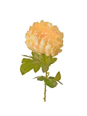 Krizantém selyemvirág szál- 65cm magas- virágfej átmérő: 14cm - Krém