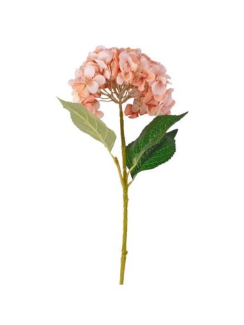 Hortenzia selyemvirág ág- 62cm magas- virágfej átmérő: 22cm - Bézs
