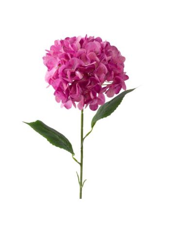 Hortenzia ág- 73cm magas - Lila