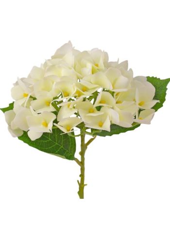 Hortenzia ág- 21cm magas- virágfej átmérő: 15cm - Krém