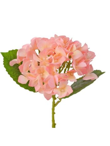 Hortenzia ág- 21cm magas- virágfej átmérő: 15cm - Rózsaszín
