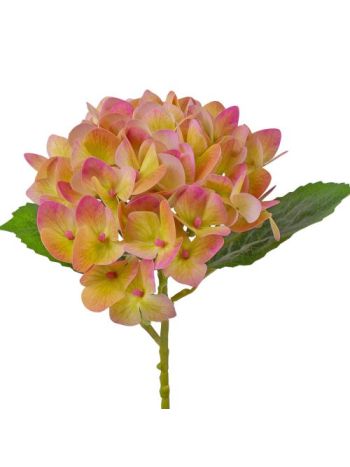 Hortenzia ág- 21cm magas- virágfej átmérő: 15cm - Zöldes rózsaszín