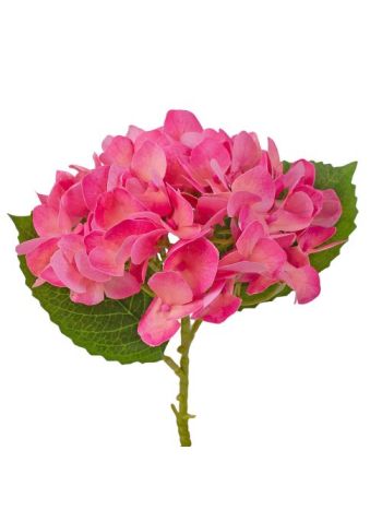 Hortenzia ág- 21cm magas- virágfej átmérő: 15cm - Rózsaszín