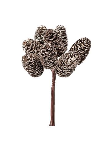 Havas toboz dekor köteg- 8 szál- 13 cm magas - Barna