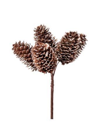 Havas toboz dekor köteg- 6 szál- 21 cm magas - Barna