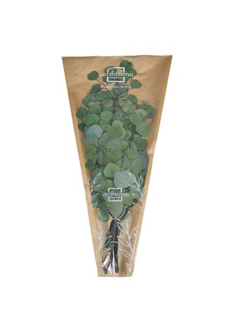 ZVB POPULUS GREEN 40/80  3421770104021