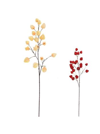 Selyemvirág ág Physalis műanyag 37x36 cm krém- piros 2 féle