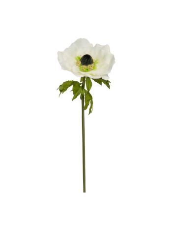 Selyemvirág óriás anemone XL 120x40 cm krém