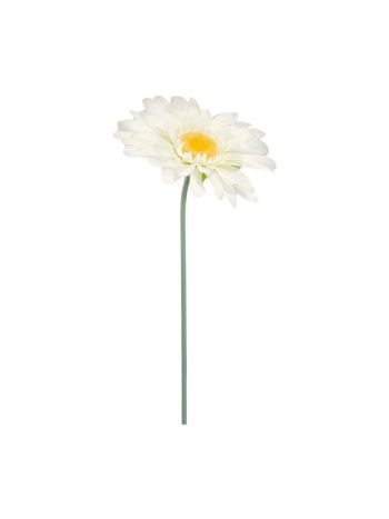 Selyemvirág óriás margaréta XXL 150x70 cm fehér