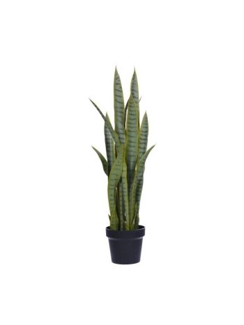Selyemvirág Sensevieria kaspóban műanyag 17x83cm zöld SSS