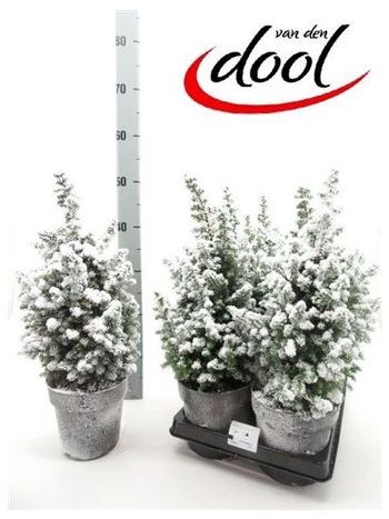 CHAM TH TOP POINT HAVAS