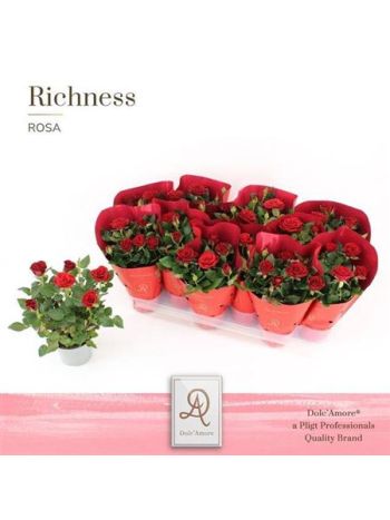 RO AM ROOD METÁL CELÓS