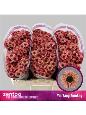 CHR SAN YI YAN SMOKEY