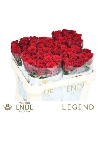 R GR RED NAOMI! 70CM