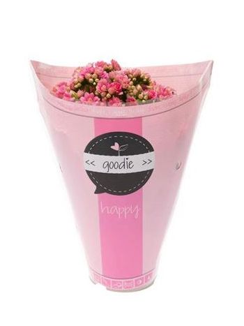 KAL ROSALIE PINK GOODIE