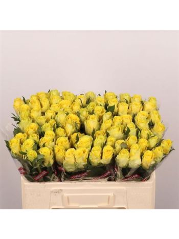 R GR5  S. GOOD TIMES