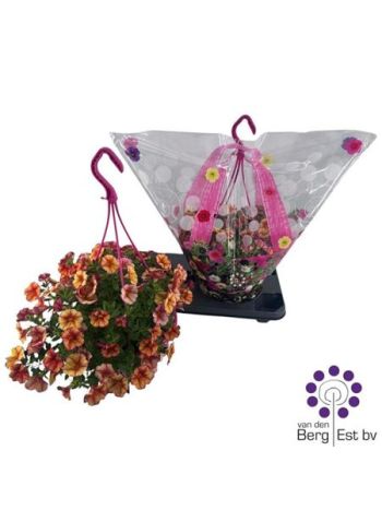 CALIB MINIF UNO AKASZTÓS