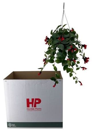 AESCHYN MONA LISA AKSZTÓS