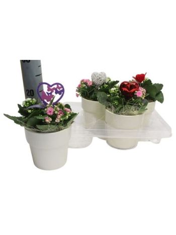 Ö. KAL SZÍV KASPÓS