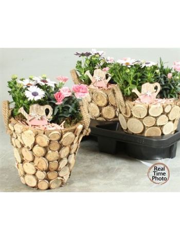 Ö. DIAN OSTEO FA KASPÓ