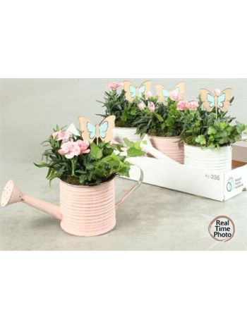 Ö. DIAN HED ZINK KANNA