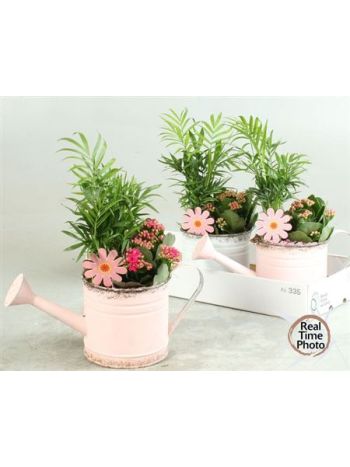 Ö. CAHM KAL ZINK KANNA