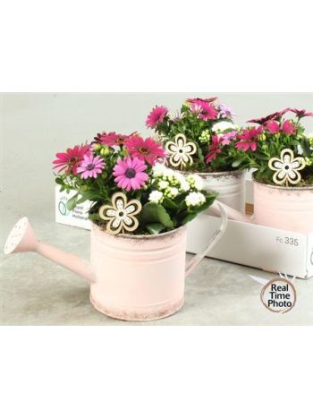 Ö. KAL OSTEO ZINK KANNA