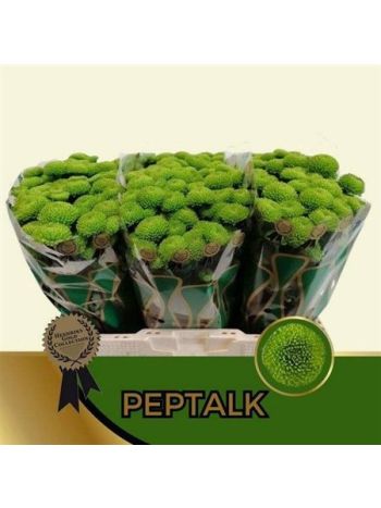 CHR SAN PEPTALK