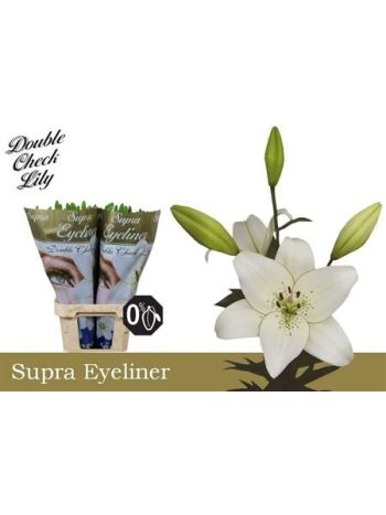 LI LA EYELINER