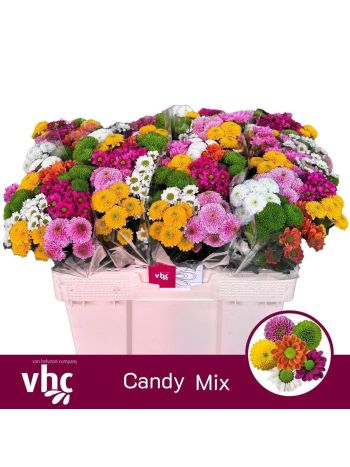 CHR SAN GEM - CANDY