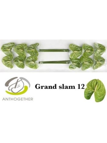 ANTH A GRAND SLAM *12