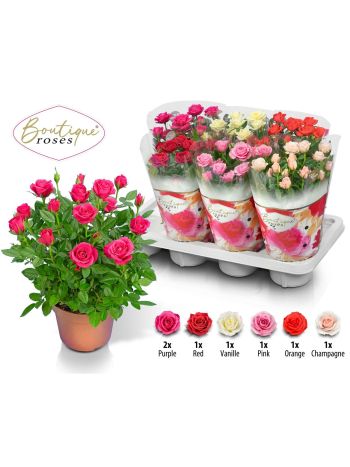 RO BOUTIQUE ROS GEM