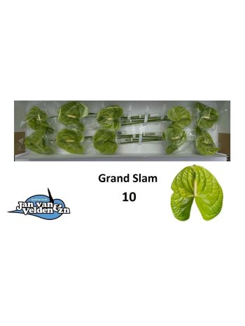 ANTH A GRAND SLAM *10