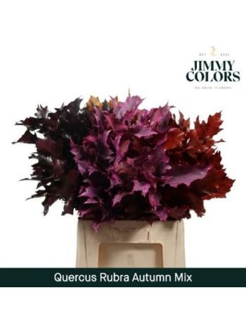 QUERC RUB OV KLB H% - MIX AUTUMN