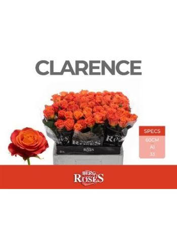 R GR CLARENCE+ 60CM
