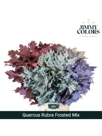 QUERC RUB OV KLB H% - MIX FROST