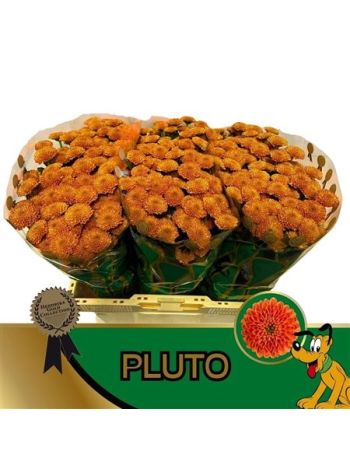 CHR SAN PLUTO