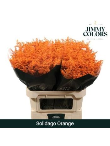 SOLI OV KLB H% 70CM - ORANGE