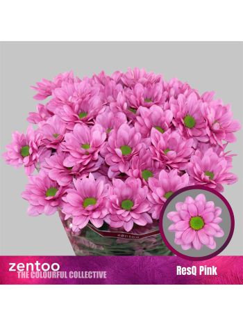 CHR T RESQ PINK